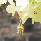 Gold Diamond Ladybird Pendant