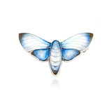 Limited Edition Moth Brooch Red Tipped