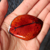 Autumn Engraved Enamelled Leaf Brooch
