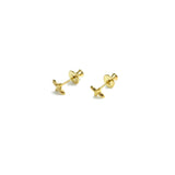 Hydrangea Gold Small Studs